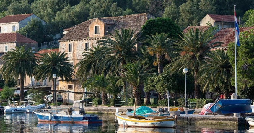 Free website template