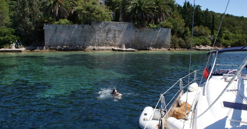 Free website template